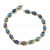 Electroplated Natural Druzy Geode Crystal Beads Strands G-G459-03B-07-2