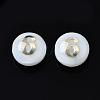 Natural Freshwater Shell Beads SHEL-N003-20-06-2