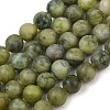 Natural Gemstone Beads GSR032-1