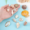 12Pcs 12 Styles Electroplated Natural Shell Pendants BSHE-PH0001-56-3