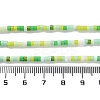 Handmade Lampwork Beads Strands LAMP-L078-008-5