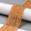 Electroplate Transparent Glass Beads Strands LS-GLAA-H021-01B-FR06-3