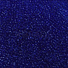 Glass Seed Beads SEED-A004-2mm-8-3
