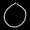 Natural Freshwater Shell Beads Strands SH-CBA2978-06A-3