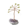 Natural Peridot Chips Tree of Life Decorations DJEW-P022-03A-01-1