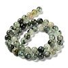 Natural Prehnite Beads Strands G-P322-48-8mm-01-2