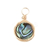 Natural Abalone Shell/Paua Shell Pendants PALLOY-JF00457-01-1