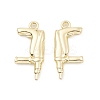 Rack Plating Alloy Pendants PALLOY-K003-07LG-2