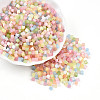 6/0 Transparent Colours Glass Seed Beads SEED-N007-22A-1