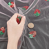 Mesh Embroidered Lace Trim OCOR-WH0073-34A-3
