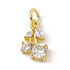 Brass Micro Pave Cubic Zirconia Charms ZIRC-F132-05G-1