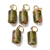 Natural Unakite Column Charms with 304 Stainless Steel Jump Rings G-Q032-01B-1