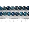 Natural Agate Beads Strands G-M437-C01-01B-5