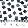 2-Hole Glass Seed Beads SEED-S031-L-ST129F-2