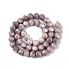 Ombre Effect Dyed Electroplate Opaque Glass Beads Strands EGLA-Q130-01A-03-3