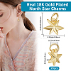 20Pcs Brass Charms KK-BBC0017-25-2