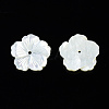 Natural White Shell Mother of Pearl Shell Beads SSHEL-T014-42B-3