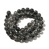Natural Biotite Beads Strands G-F784-A03-03-3