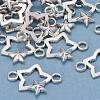 Alloy Links PALLOY-A19924-AS-FF-1