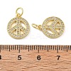 Brass Micro Pave Cubic Zirconia Charms KK-C092-04G-3