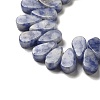 Natural Blue Spot Jasper Beads Strands G-B064-B59-4