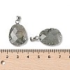 Natural Labradorite Pendants G-H086-01P-05-3