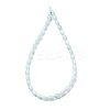 Dyed Natural Freshwater Shell Beads Strands SH-CBA2978-06C-3