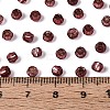 Silver Lined Glass Seed Beads SEED-T007-18A-13-4