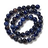 Natural South Africa Sodalite Beads Strands G-S259-35-6mm-4