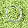 FGB 11/0 Grade A Glass Seed Beads X-SEED-S030-1013-3