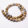 Natural Crazy Lace Agate Beads Strands X-G-D840-70-6mm-2