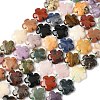 Mixed Natural Gemstone Flower Beads Strands G-L241A-07-5