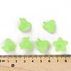 Transparent Acrylic Beads PLF018-05-4