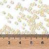 Glass Seed Beads X-SEED-S042-13A-02-4