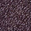 Glass Seed Beads SEED-US0003-3mm-116-2
