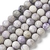 Natural Purple Turquoise Beads Strands G-L595-C04-02-1