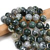 Natural Moss Agate Beads Strands G-C249-A08-16mm-2