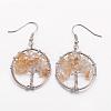 Dangle Earrings EJEW-N0030-09-1