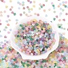 FGB Frosted Transparent Glass Seed Beads SEED-N013-03A-2