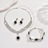 Oval & Horse Eye Brass Rhinestone Necklaces & Bracelets & Earring Sets FS-WG182CE-03-3