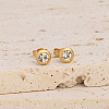 Flat Round 304 Stainless Steel Pave Clear Cubic Zirconia Stud Earrings FS-WG23E56-03-1
