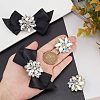 4Pcs 2 Style Glass Rhinestone Shoe Decorations FIND-NB0002-34A-3