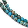 Dyed Natural Regalite/Imperial Jasper/Sea Sediment Jasper Beads Strands G-B124-C04-10-2