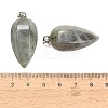 Natural Labradorite Pendants GG-K002-16M-3