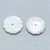 Freshwater Shell Beads SHEL-S275-012-2