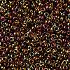 MIYUKI Round Rocailles Beads X-SEED-G009-RR0615-3