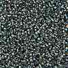 TOHO Round Seed Beads SEED-JPTR15-0995-2