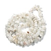 Natural Rainbow Moonstone Beads Strands X-G-A200-02-3