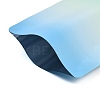 Two Tone Rectangle Plastic Zip Top Gift Bags OPP-C003-01D-02-2