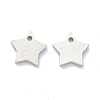 Tarnish Resistant 304 Stainless Steel Pendants STAS-K216-46P-1